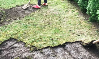 Снятие дерна старого газона в Евпатории – от 523 руб. | ГОСТСТРОЙ